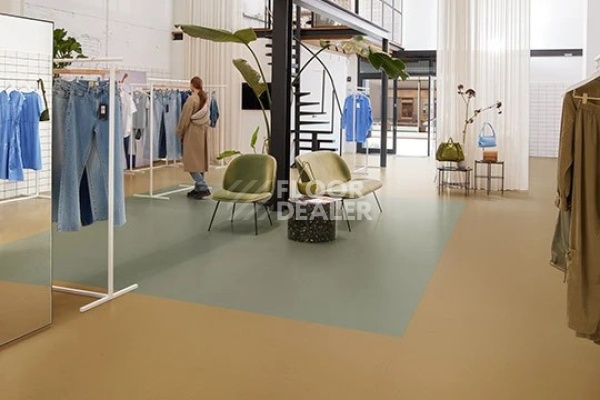 Линолеум Marmoleum Solid Cocoa 3587 curcuma фото 1 | FLOORDEALER